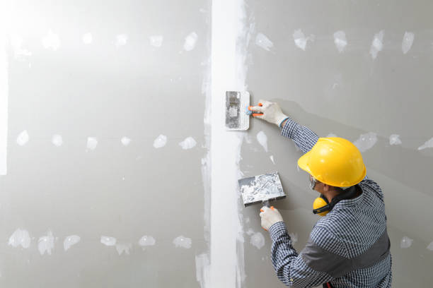  Claysburg, PA Mold Removal Pros